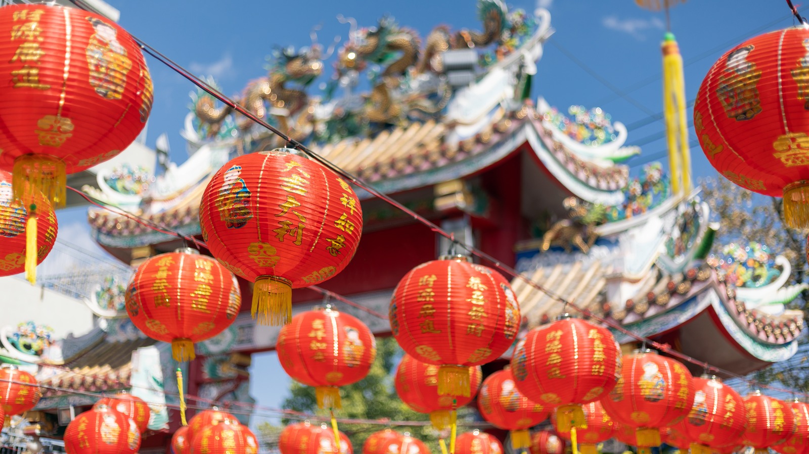 Traditional Foods To Enjoy During Chinese New Year Wallpaper