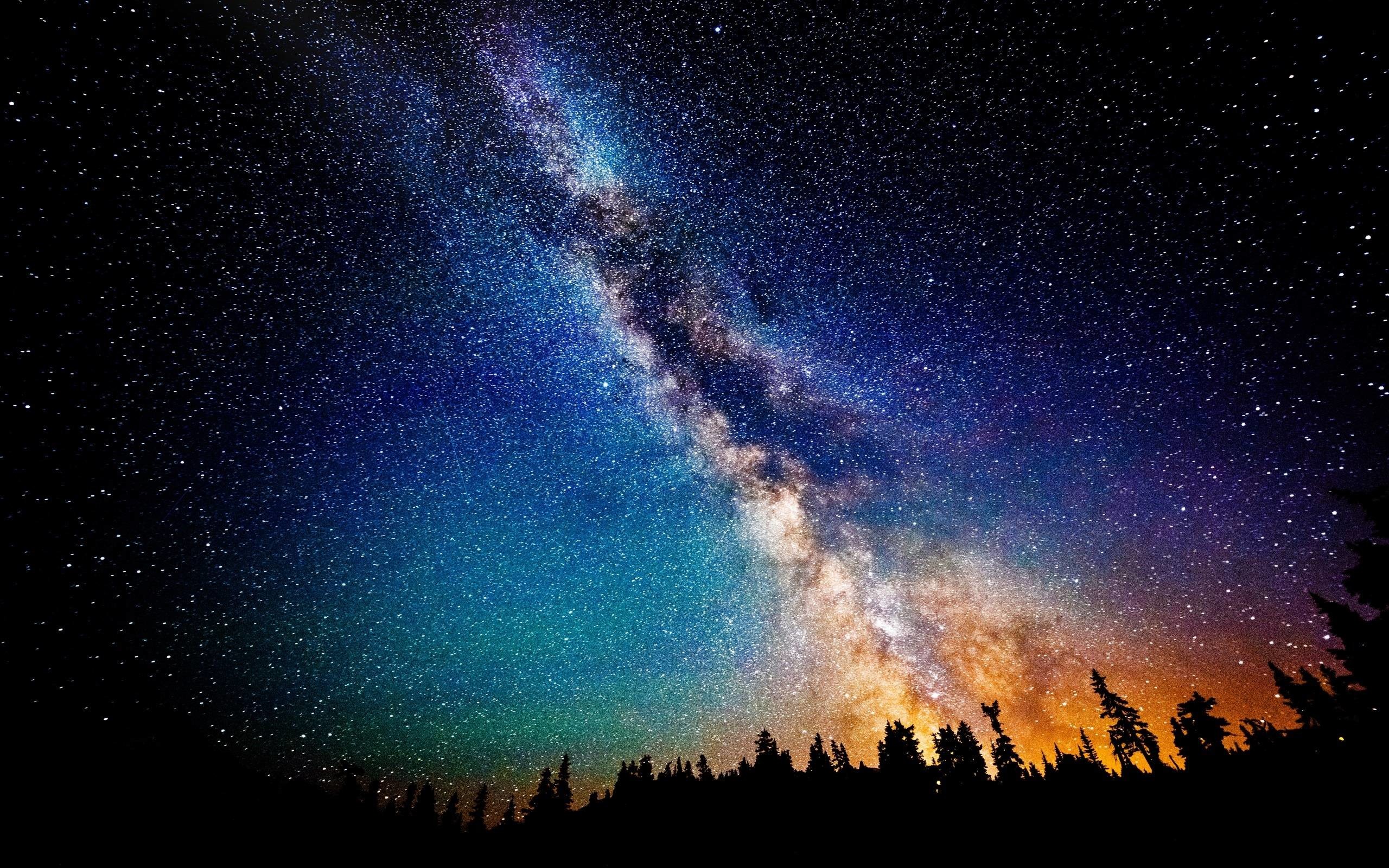 A breathtaking view of the Milky Way galaxy stretching across a night sky, with a silhouette of trees in the foreground