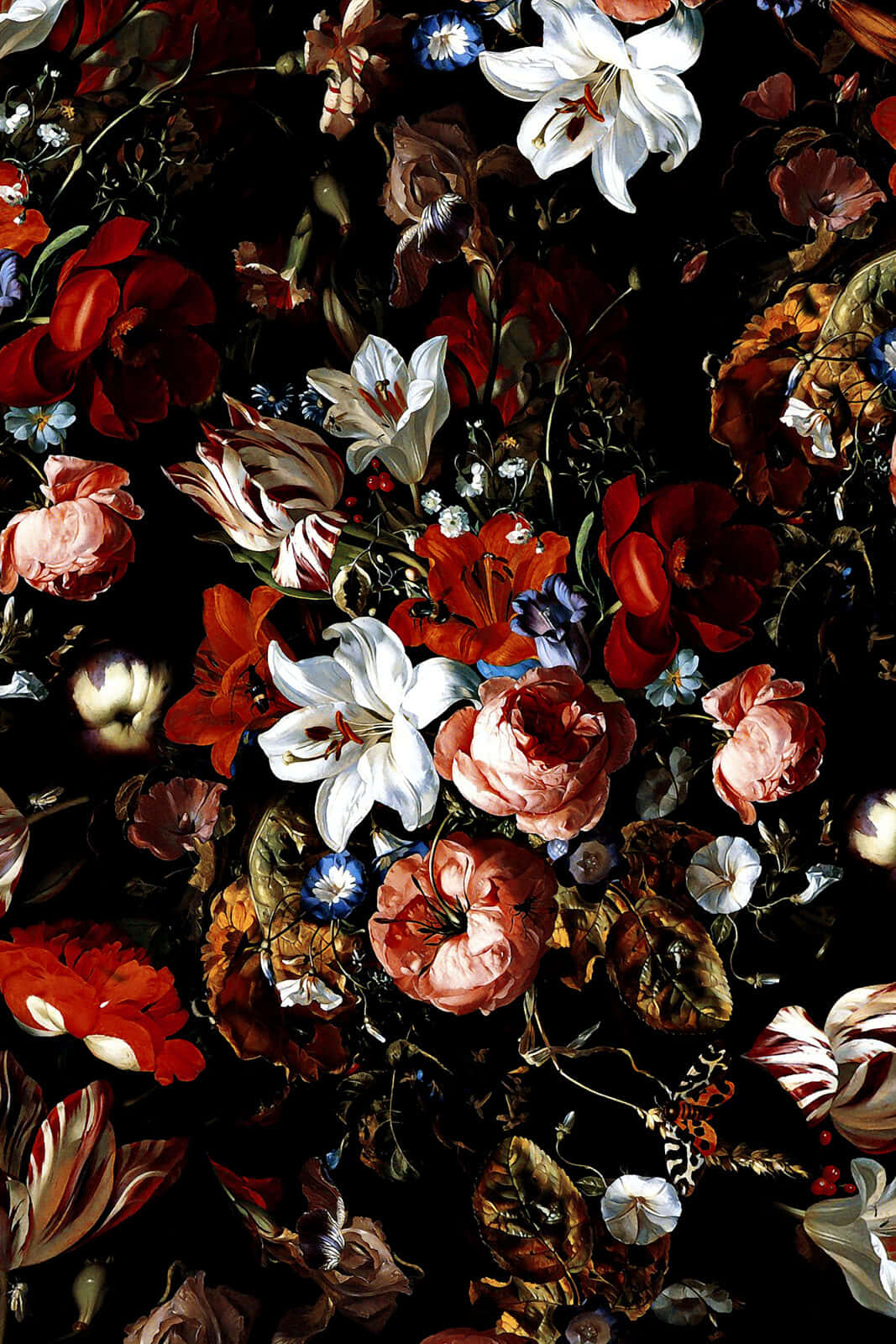 Captivating Dark Floral Background Wallpaper