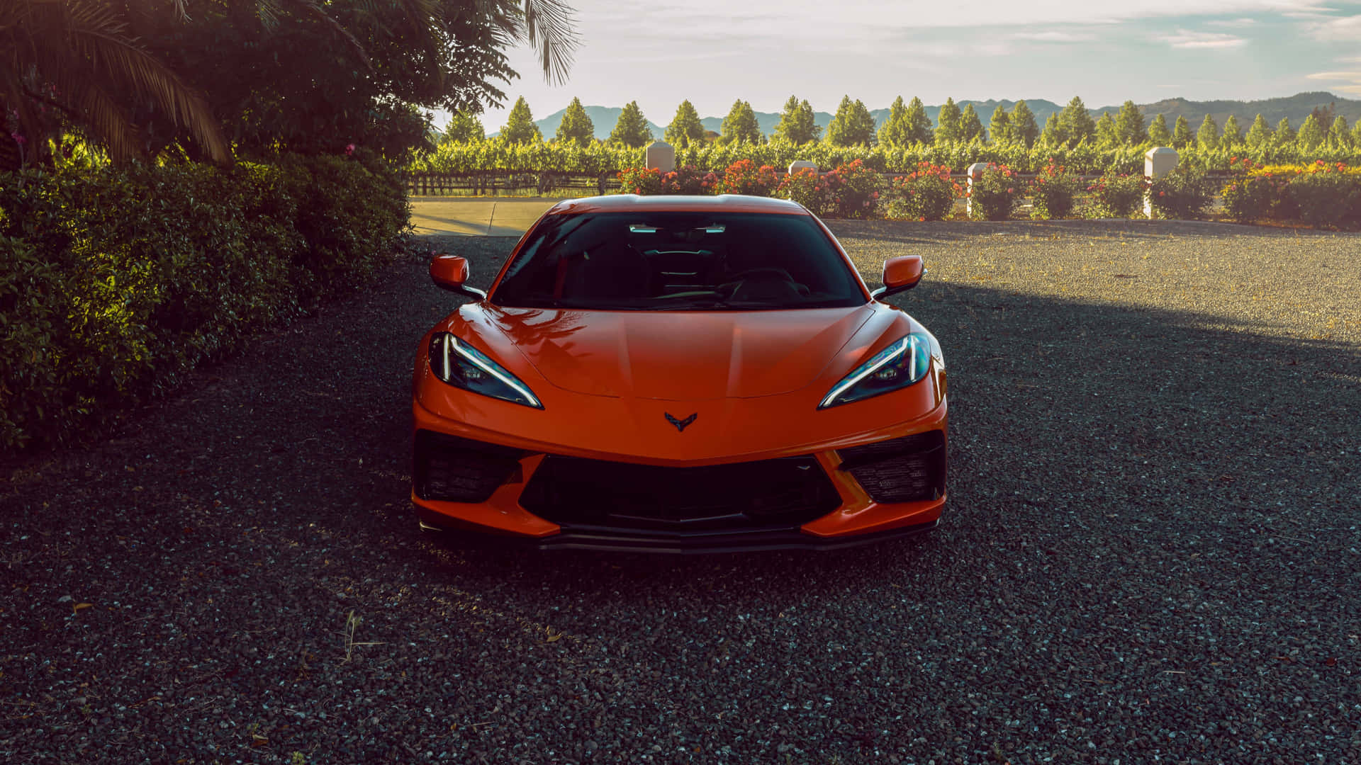 Corvette C8 Wallpaper