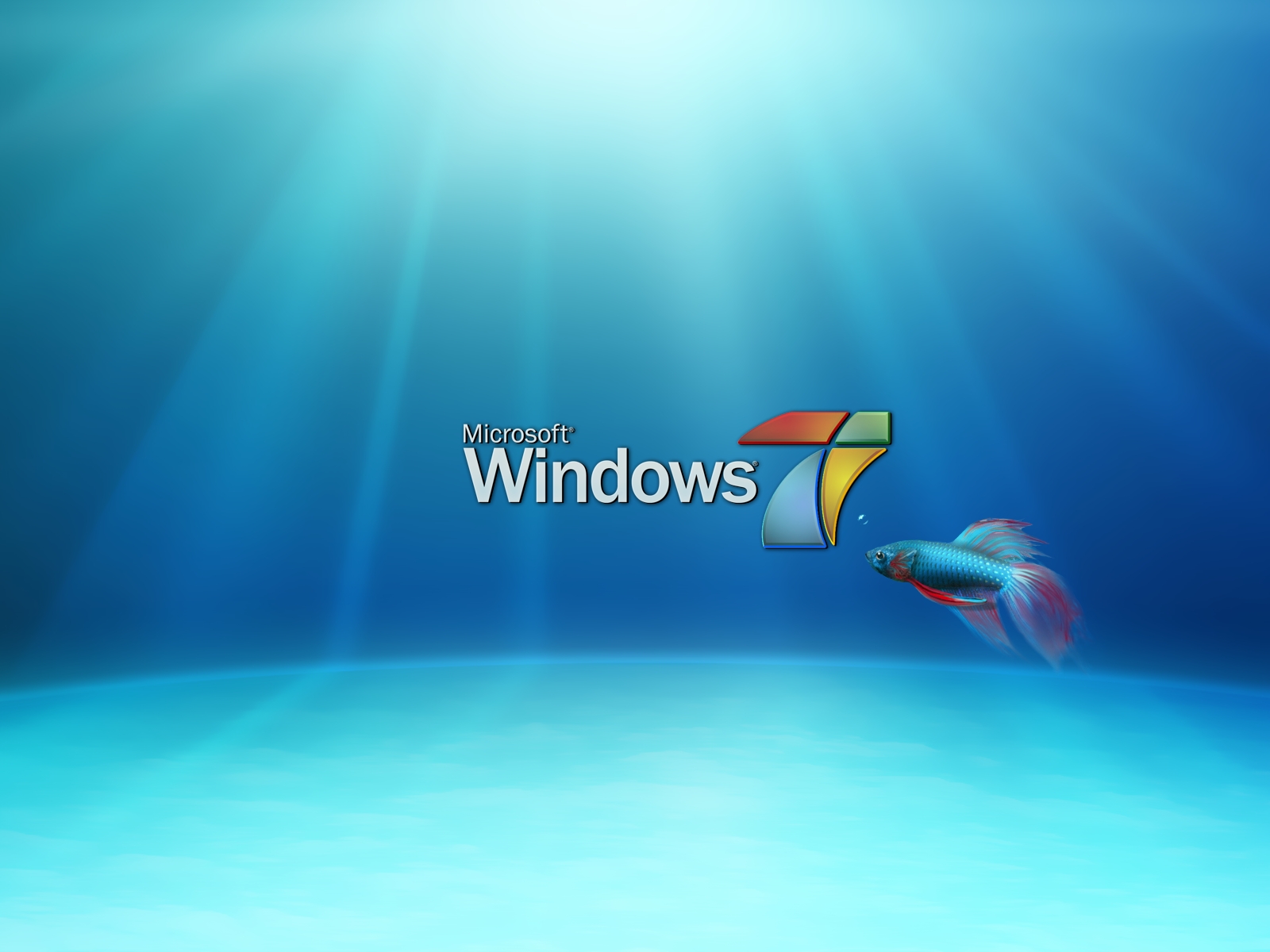 windows 8 background fish