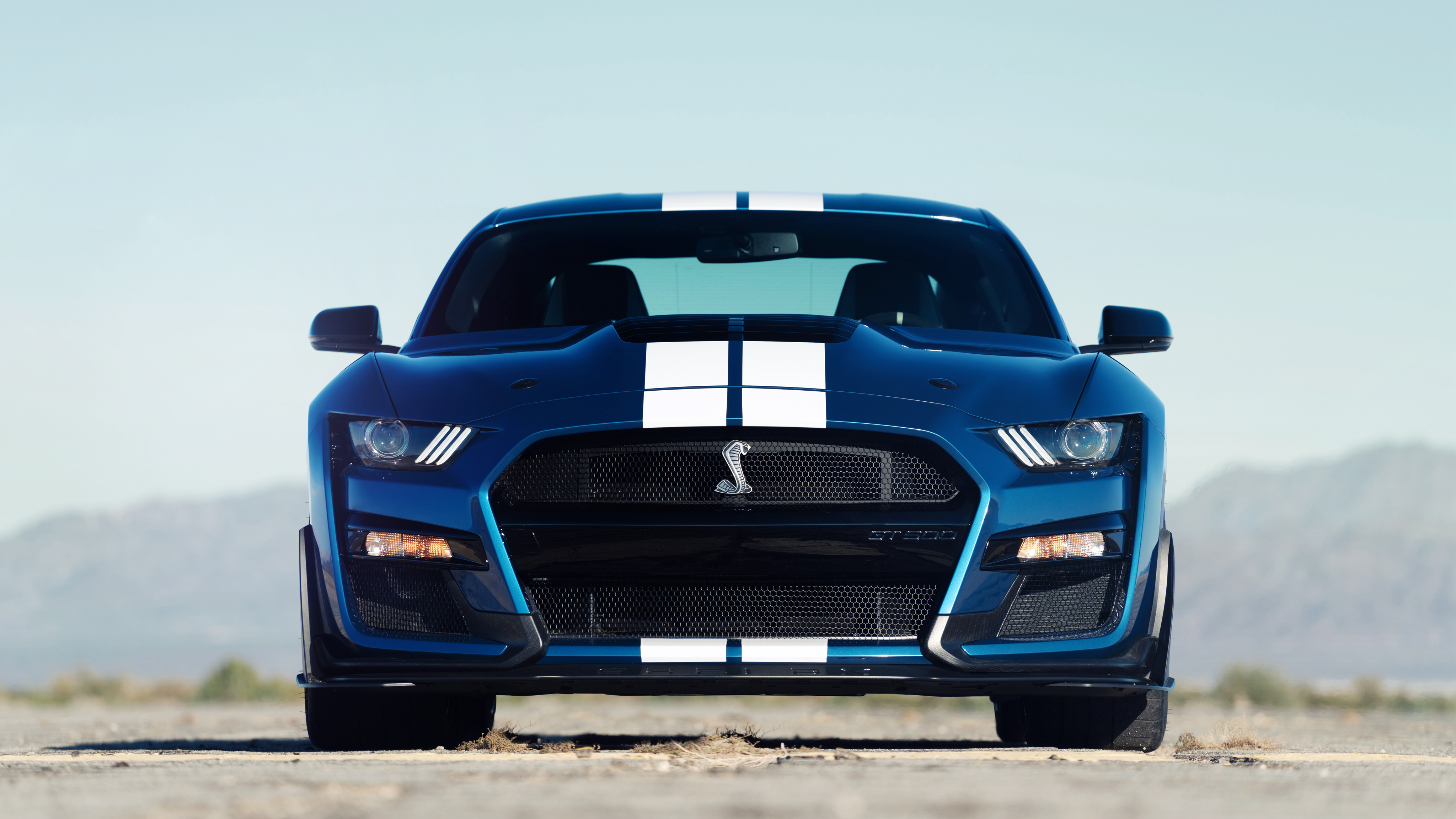 A front view of a blue Ford Mustang Shelby GT500 with white racing stripes