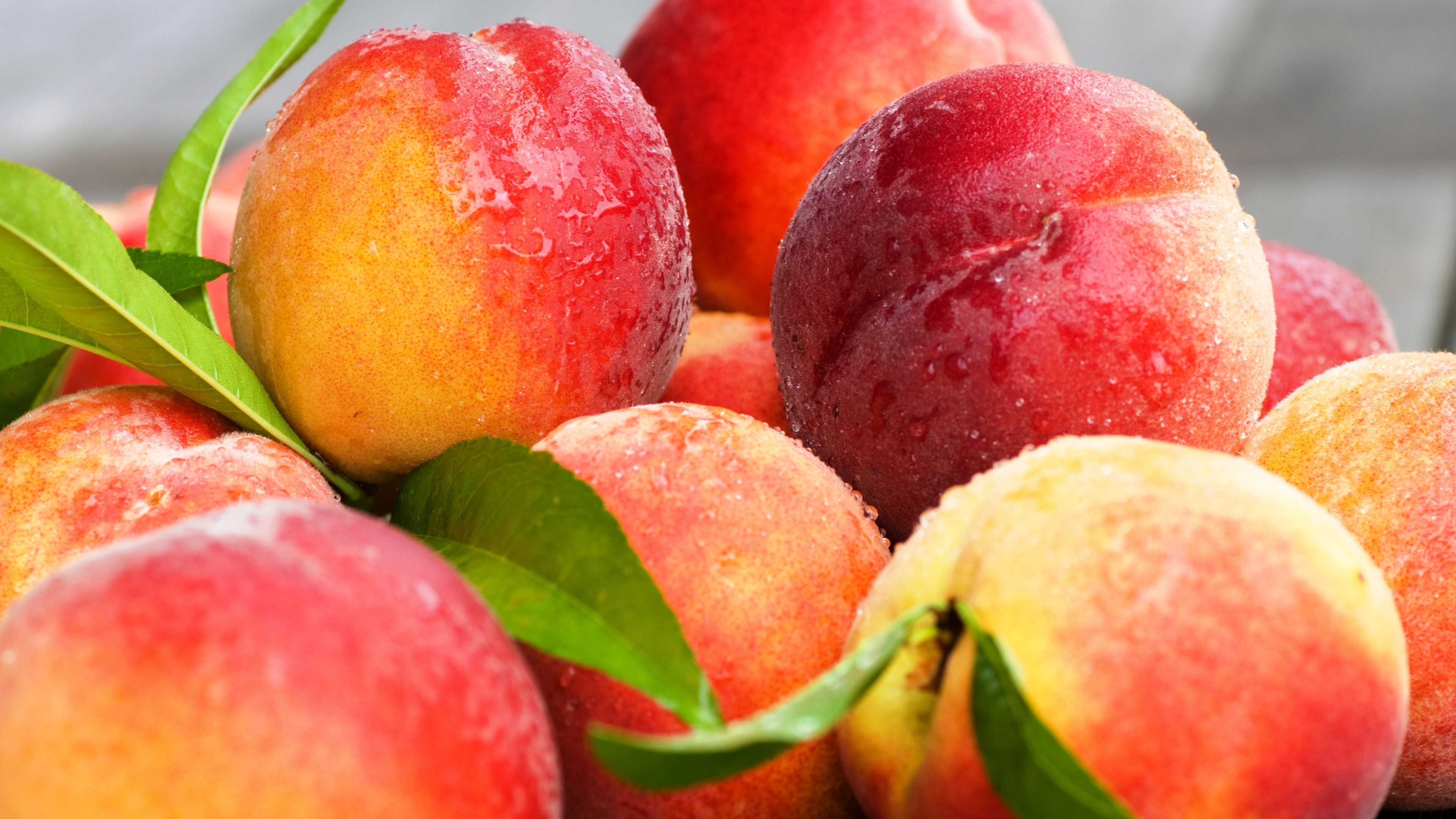 Peaches Nectarines Leaves 4k Wallpaper HD Food