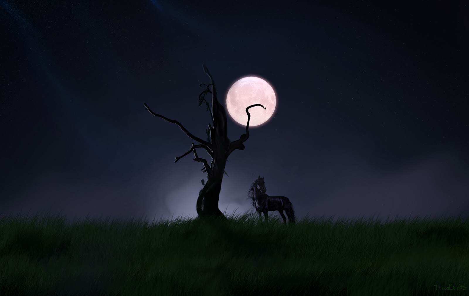 Night HD Desktop Wallpaper