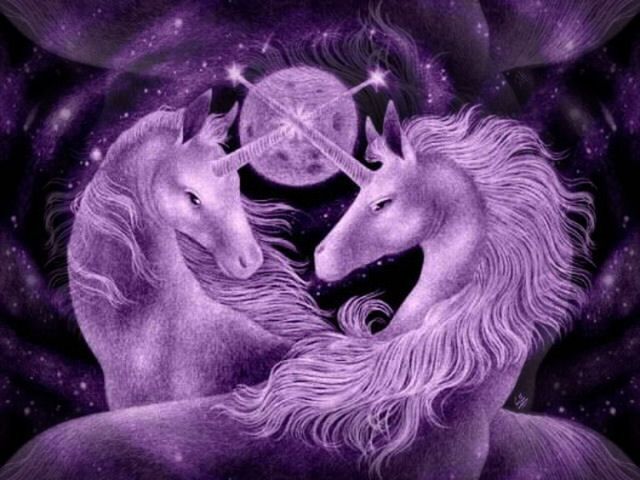 unicorns This is the fantastic unicorn love 1 t Wallpaper
