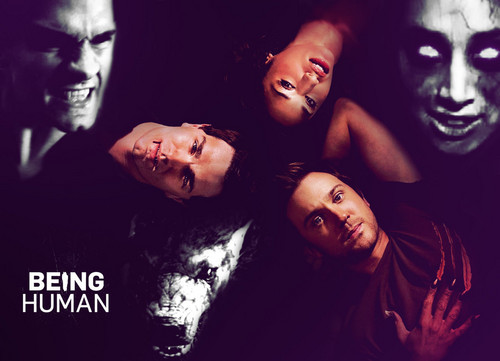 Being Human US images Being Human HD wallpaper and