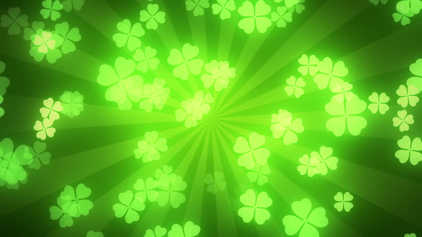 Four Leaf Clover Stock Footage Video Shutterstock