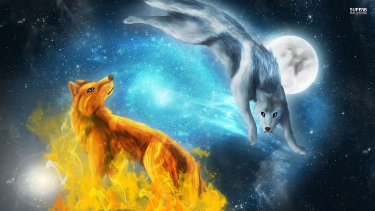 Fire And Ice Wolves Puter Wallpaper Cool Flame Pictures