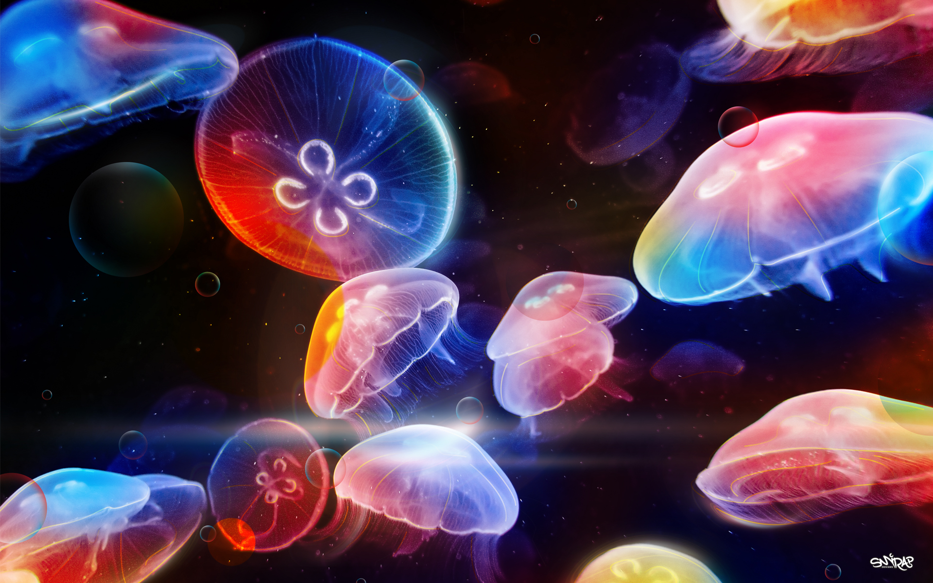 Colorful Jellyfish Wallpaper Myspace Background