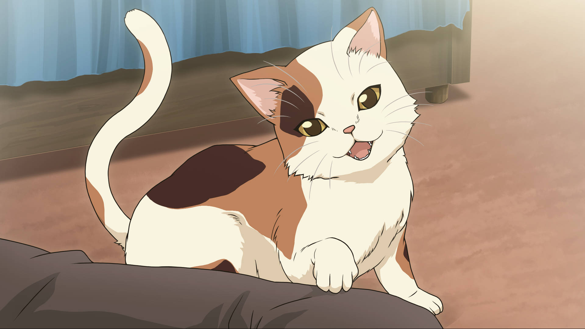Anime Cat Wallpaper