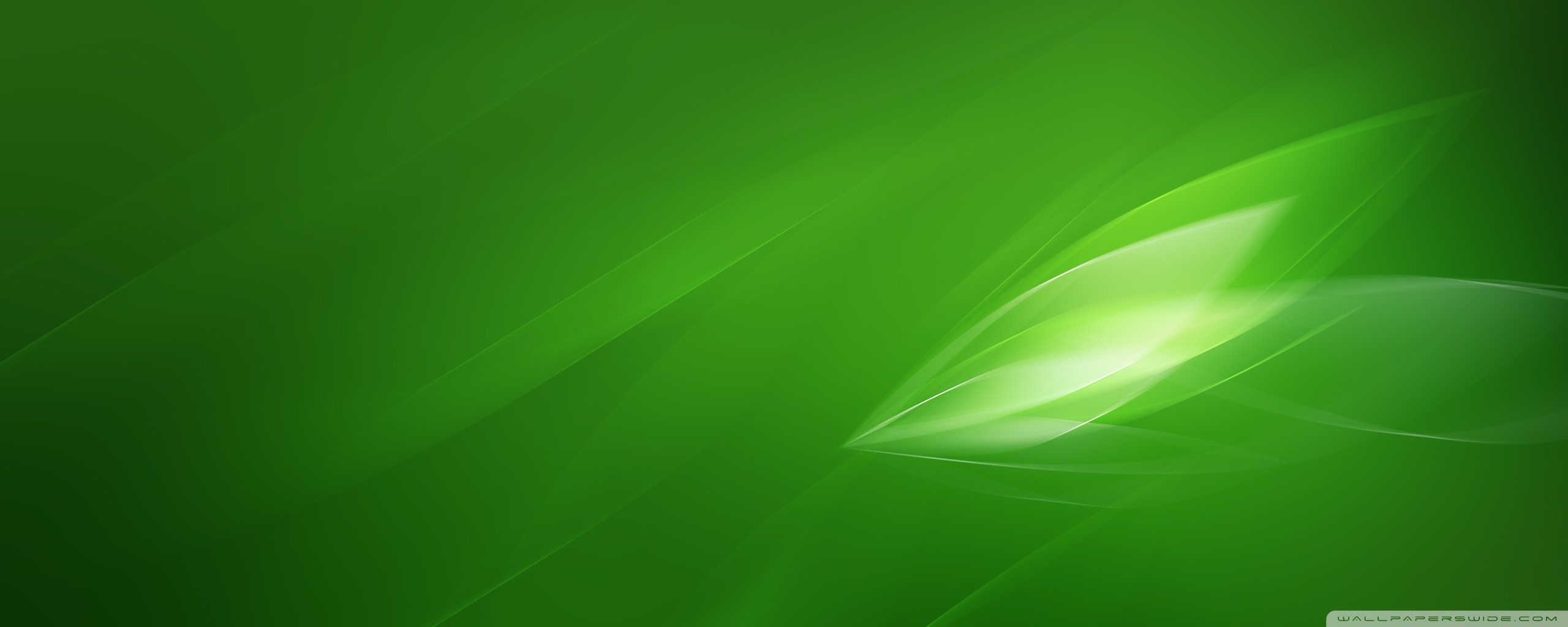 Green Screen Wallpaper
