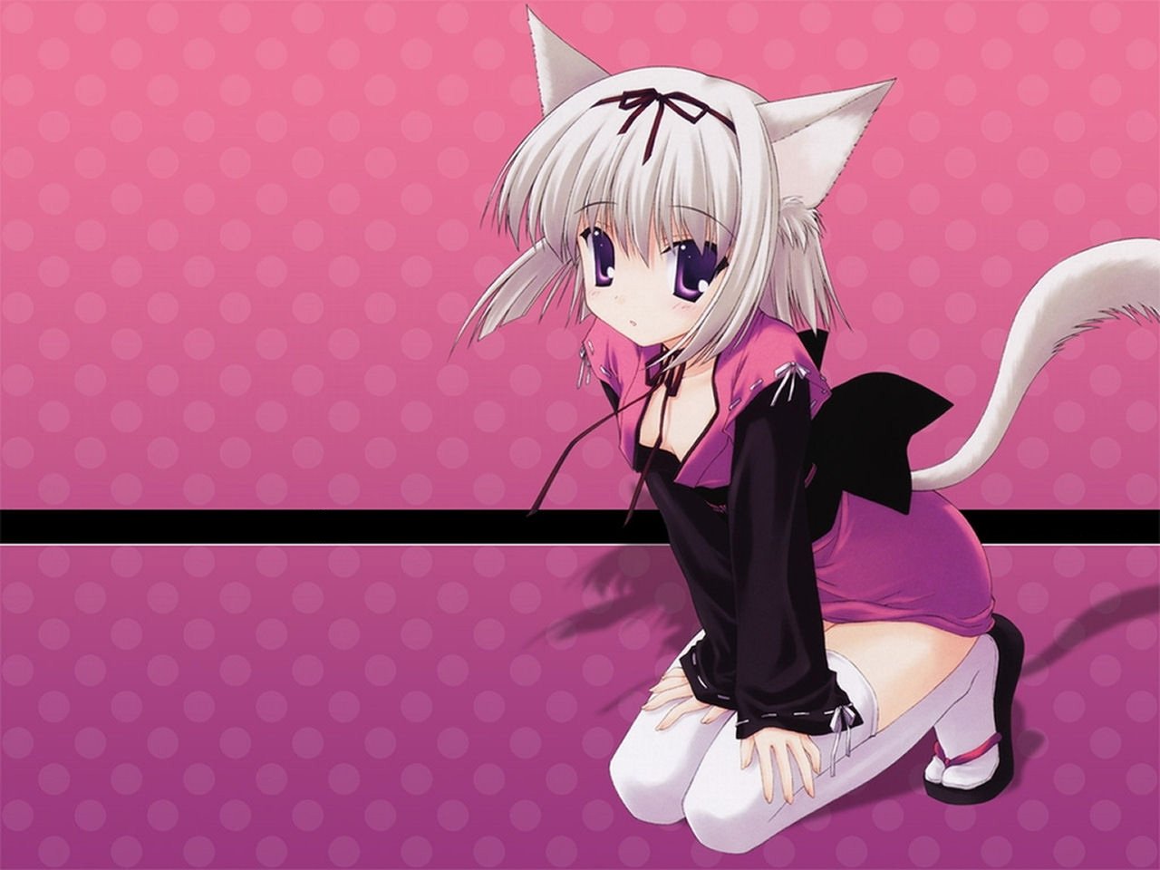 Live wallpaper Anime cat girl / download from VSThemes