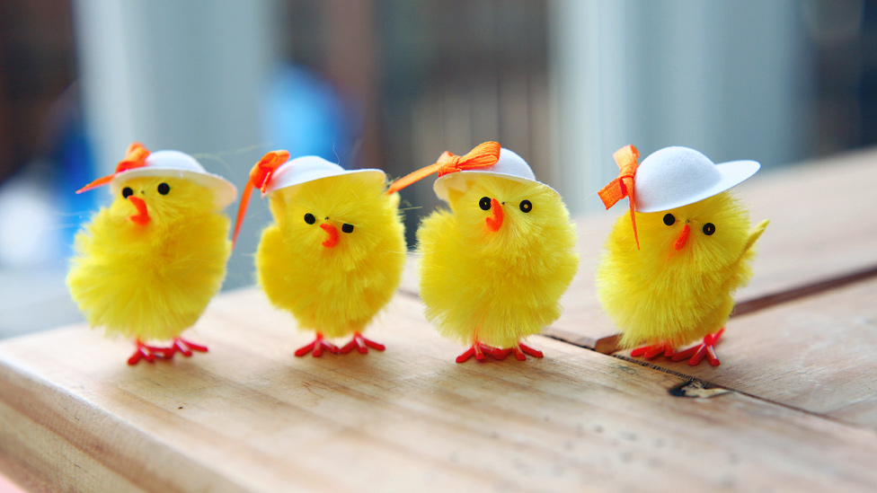 Easter Chicks Restaurents