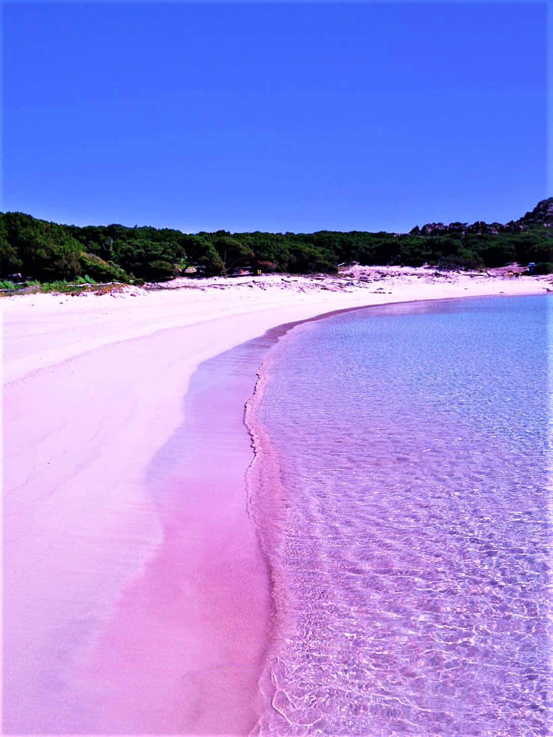 Pink Beach Wallpaper