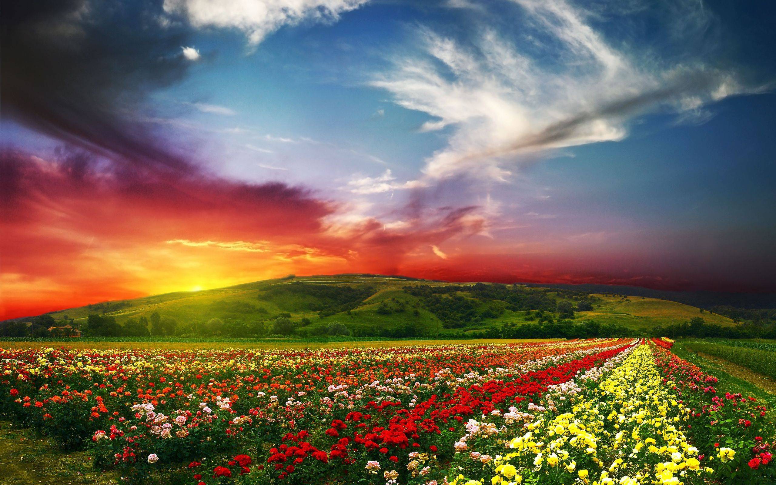 Spring Background Wallpaper High Definition Quality
