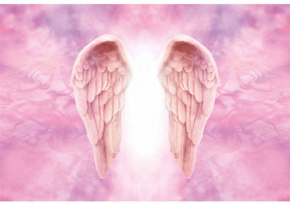 Amazon Dorcev Polyester Pink Angel Wings Backdrop