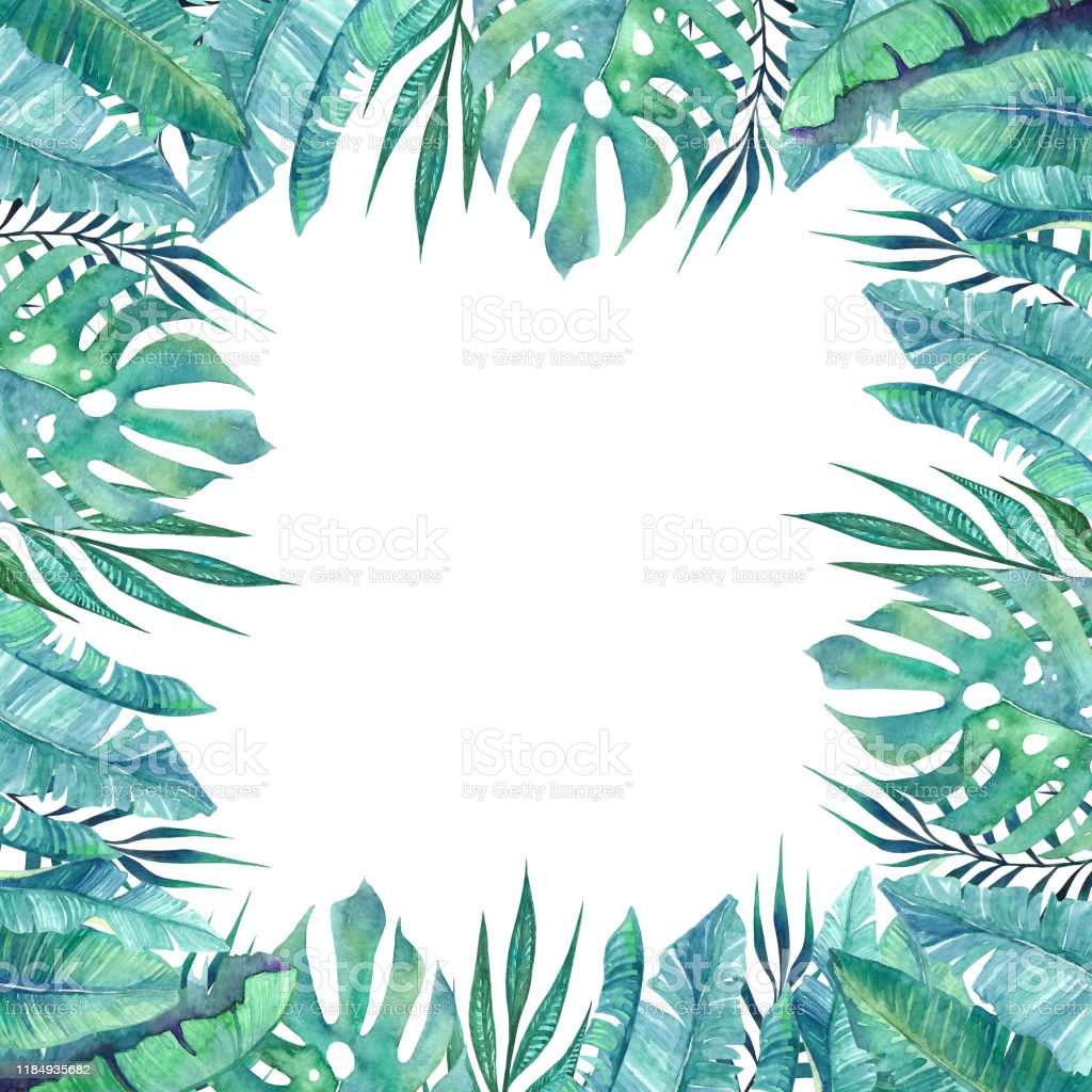 Watercolor Floral Summer Elements With Tropical Palm Leaves Stock
