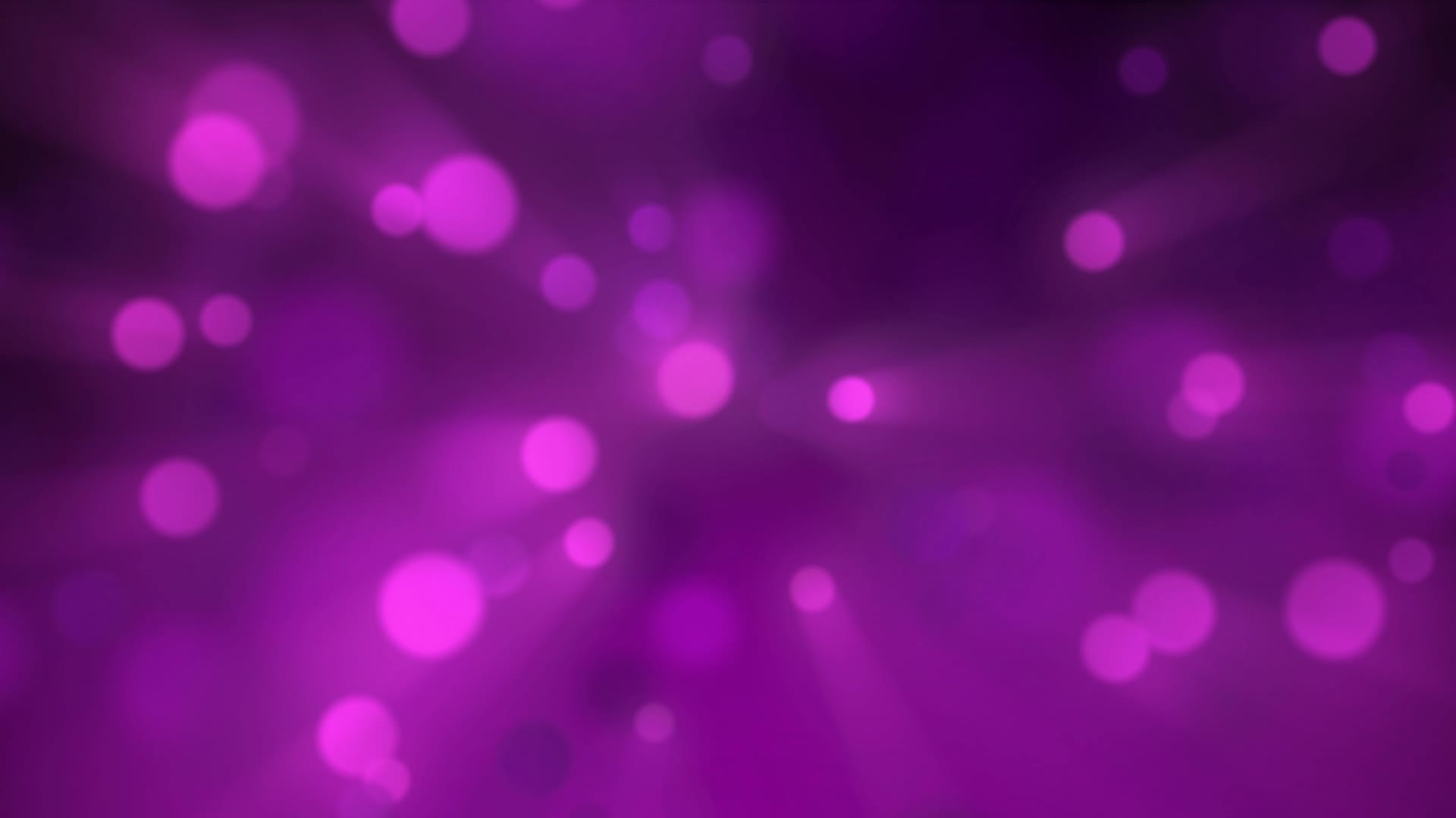 Light Particle Background Purple Stock Video