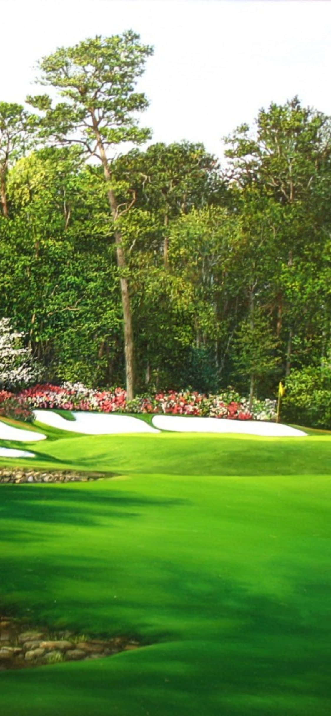 iPhone X Golf Course Background Wallpaper