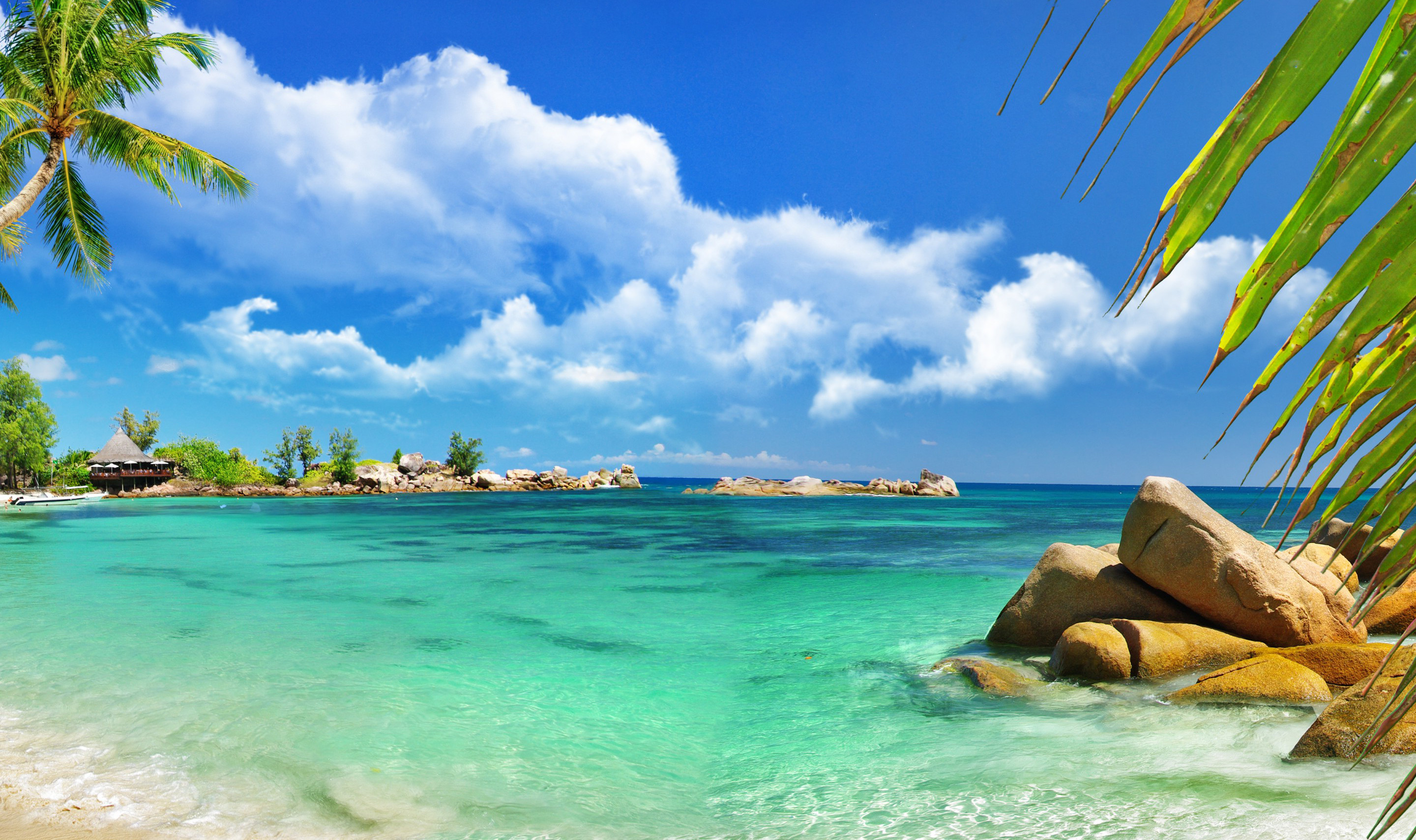 Tropical paradise beach with crystal clear turquoise water, palm trees, and granite boulders under a vibrant blue sky