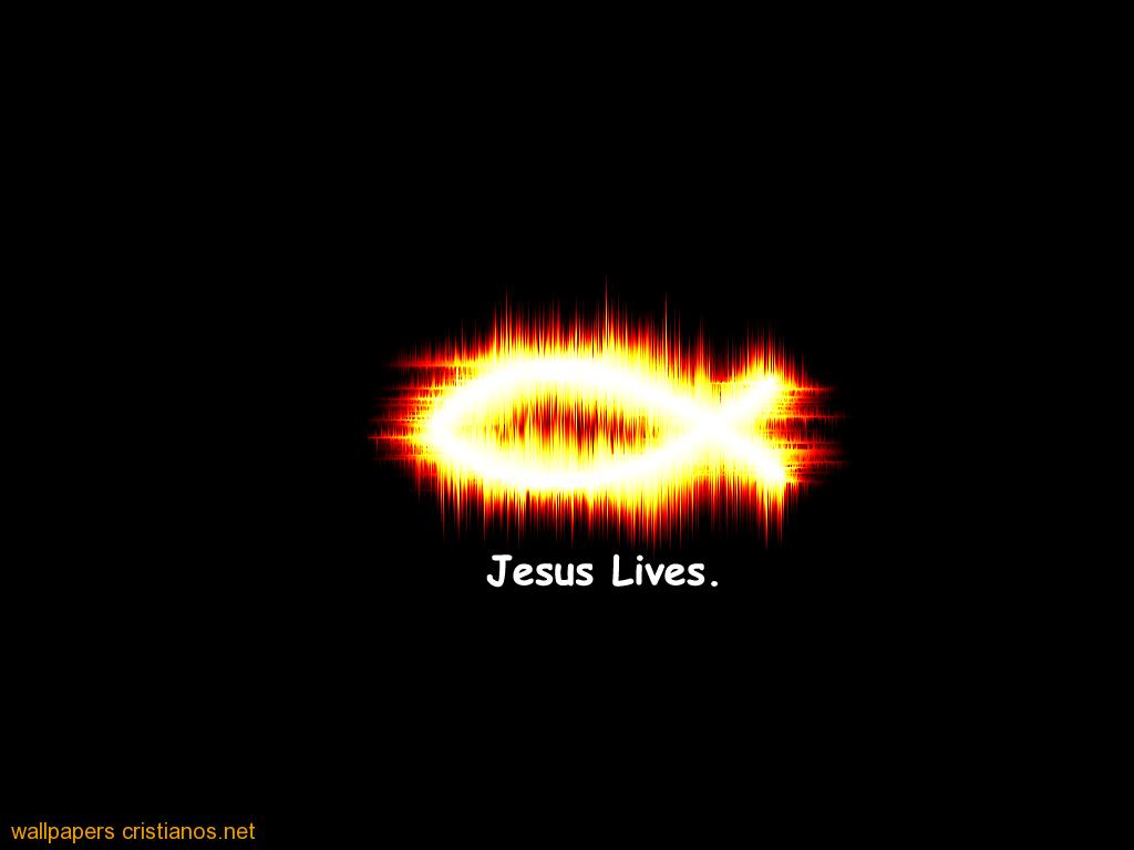 Jesus Live