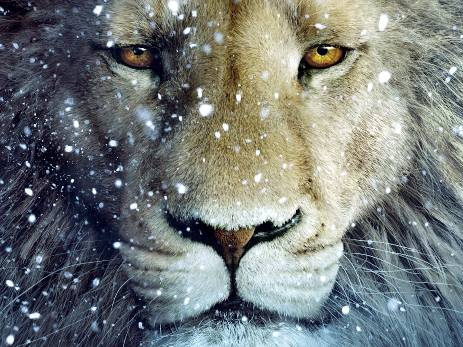 Aslan The Lion From Chronicles Of Narnia Wallpaper