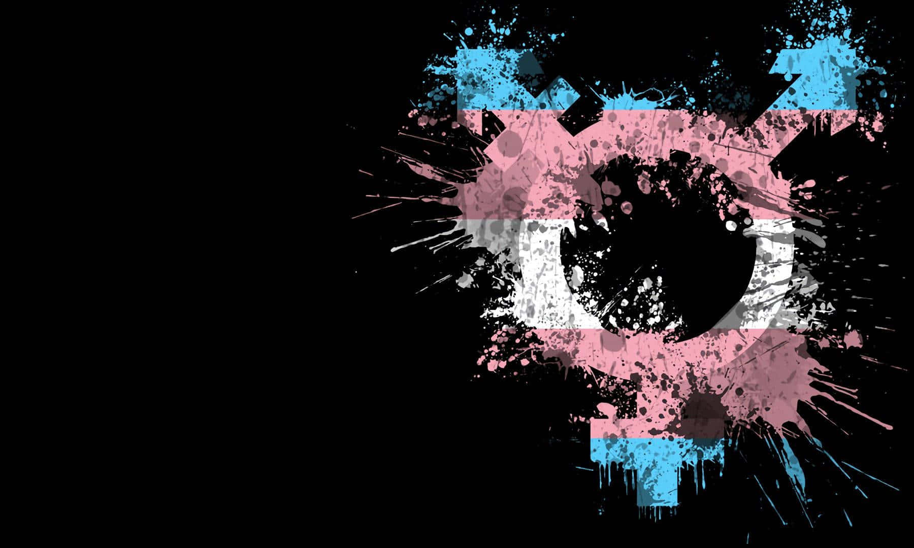 Celebrate Transgender Pride With The Trans Flag Wallpaper