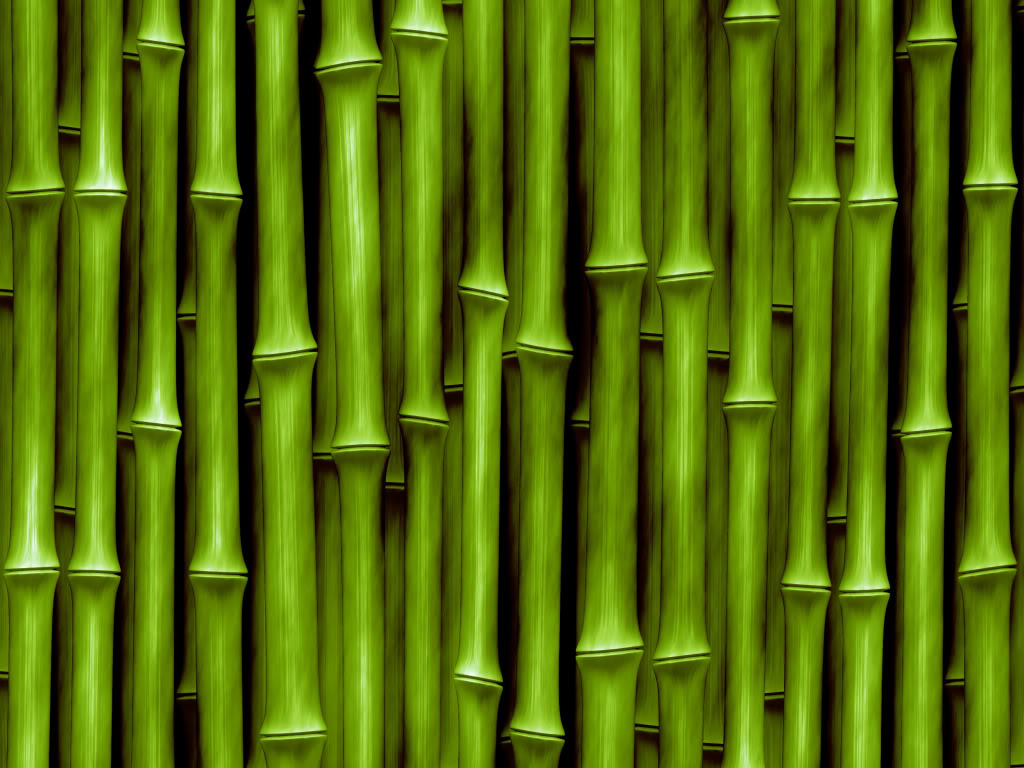 Green Bamboo Texture Photo