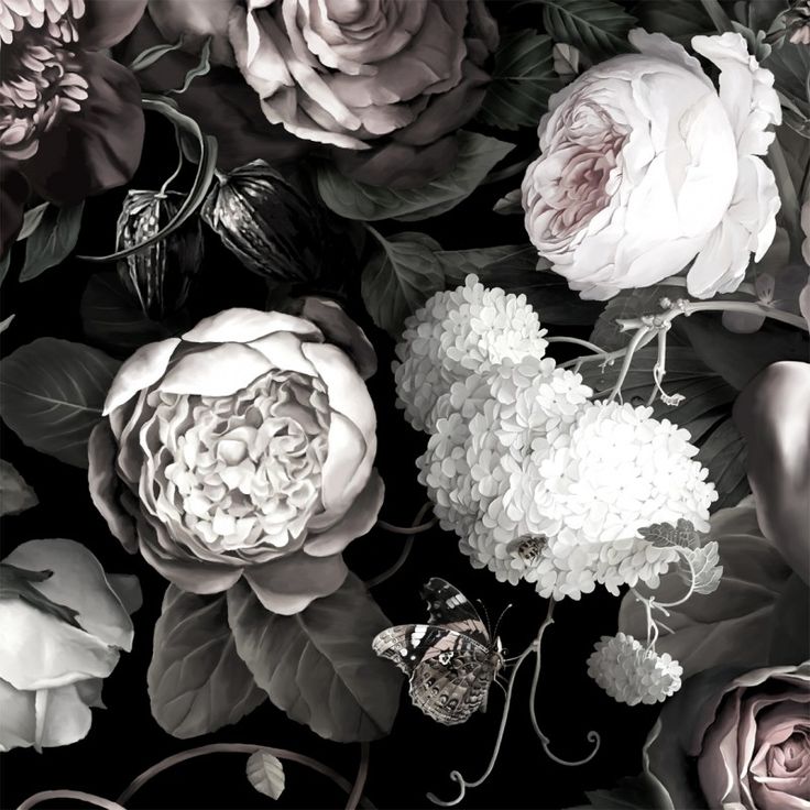 Dark Floral Ii Wallpaper Schwarze Blumentapete Blumen Wandbild