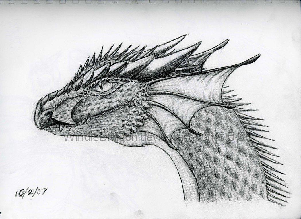Dragon Head Drawings Wallpaper Background HD With Resolutions