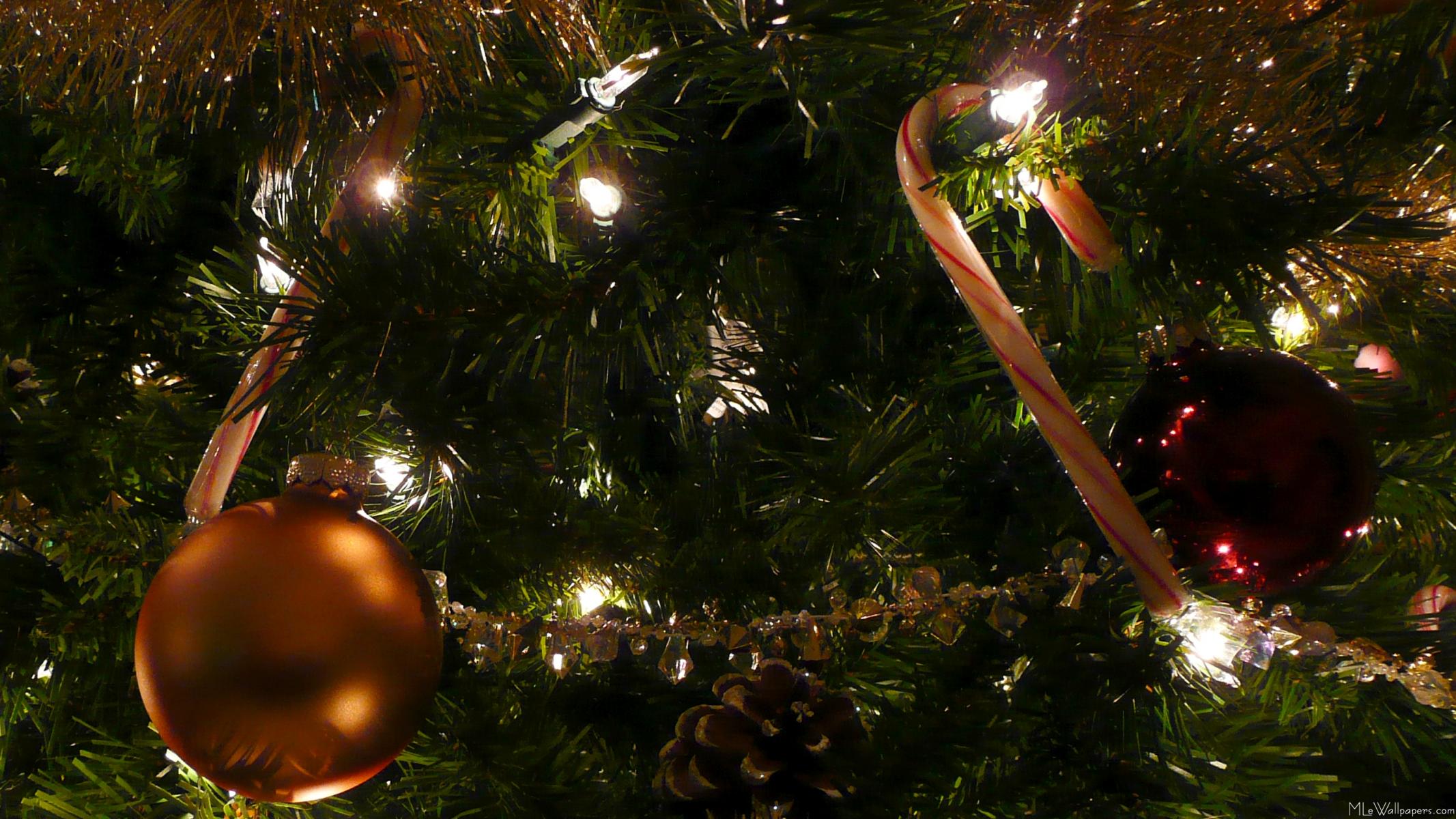 Cozy Christmas Tree Wallpaper Maroonbeard