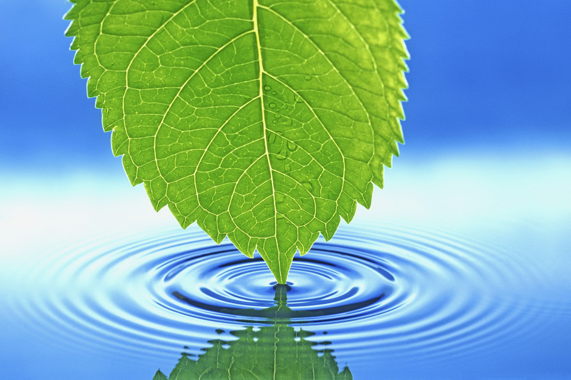 Cool Nature Desktop Background