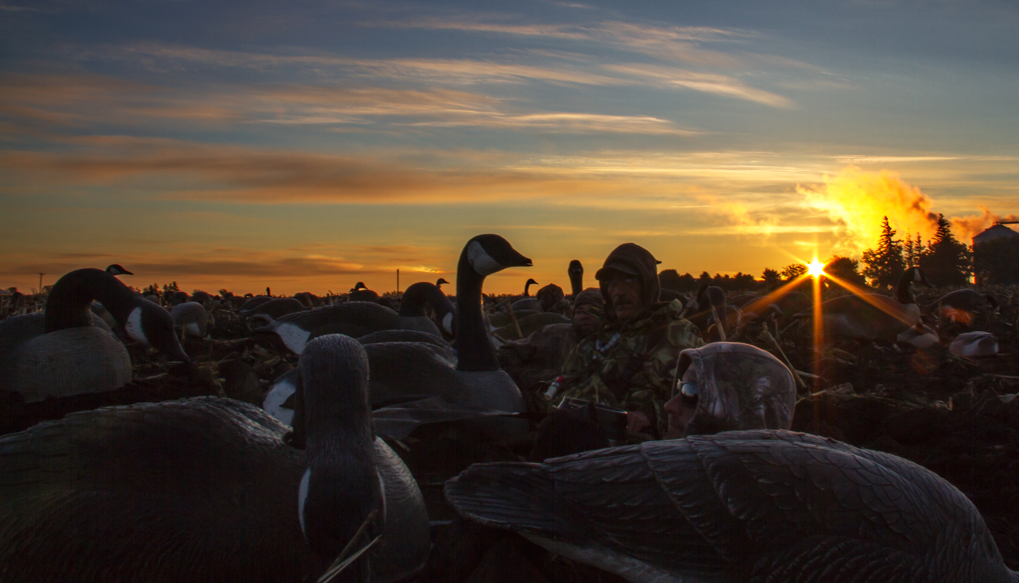 Goose Hunting In Owatonna Minnesota