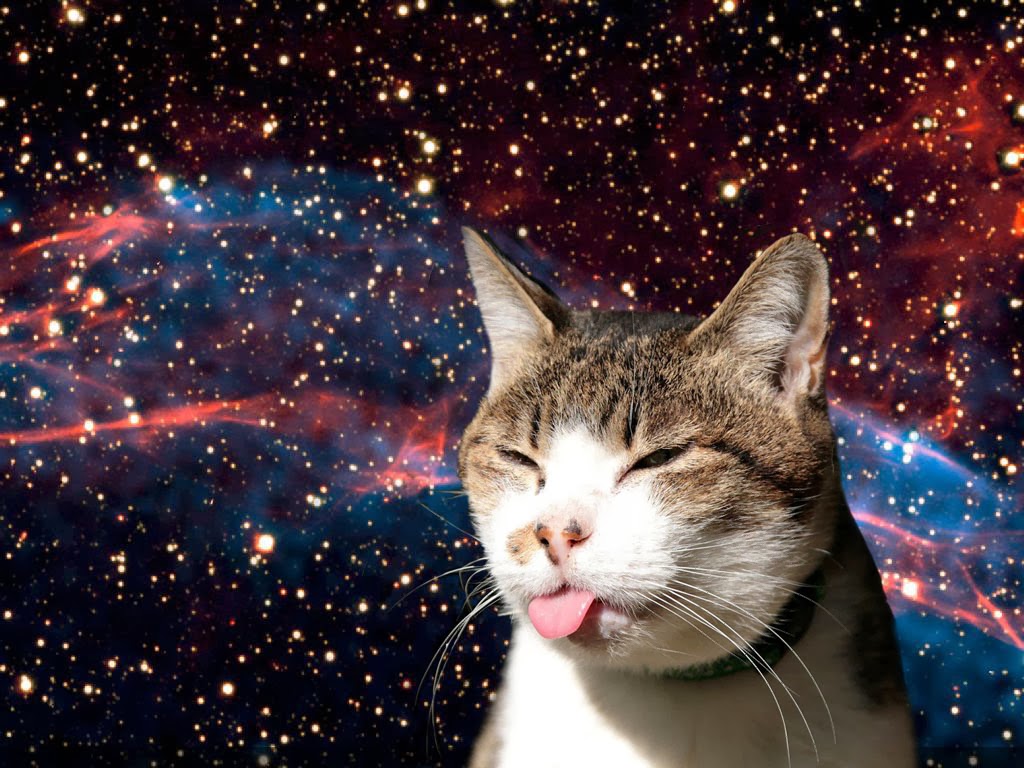 Keyboard Cat In Space