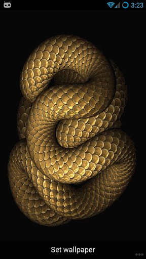 Real Moving Snake Live Wallpaper