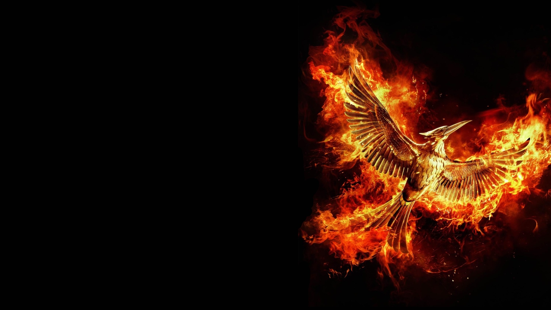 Hunger Games Wallpaper Hunger Games Backgrounds and