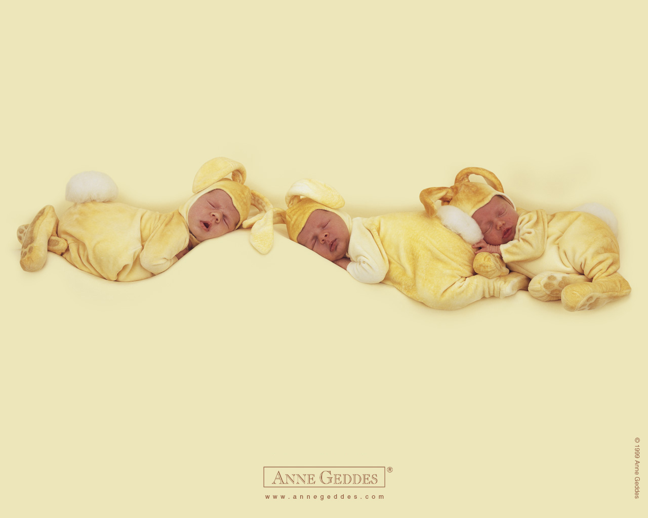 Anne Geddes Wallpaper Babies Color Photography