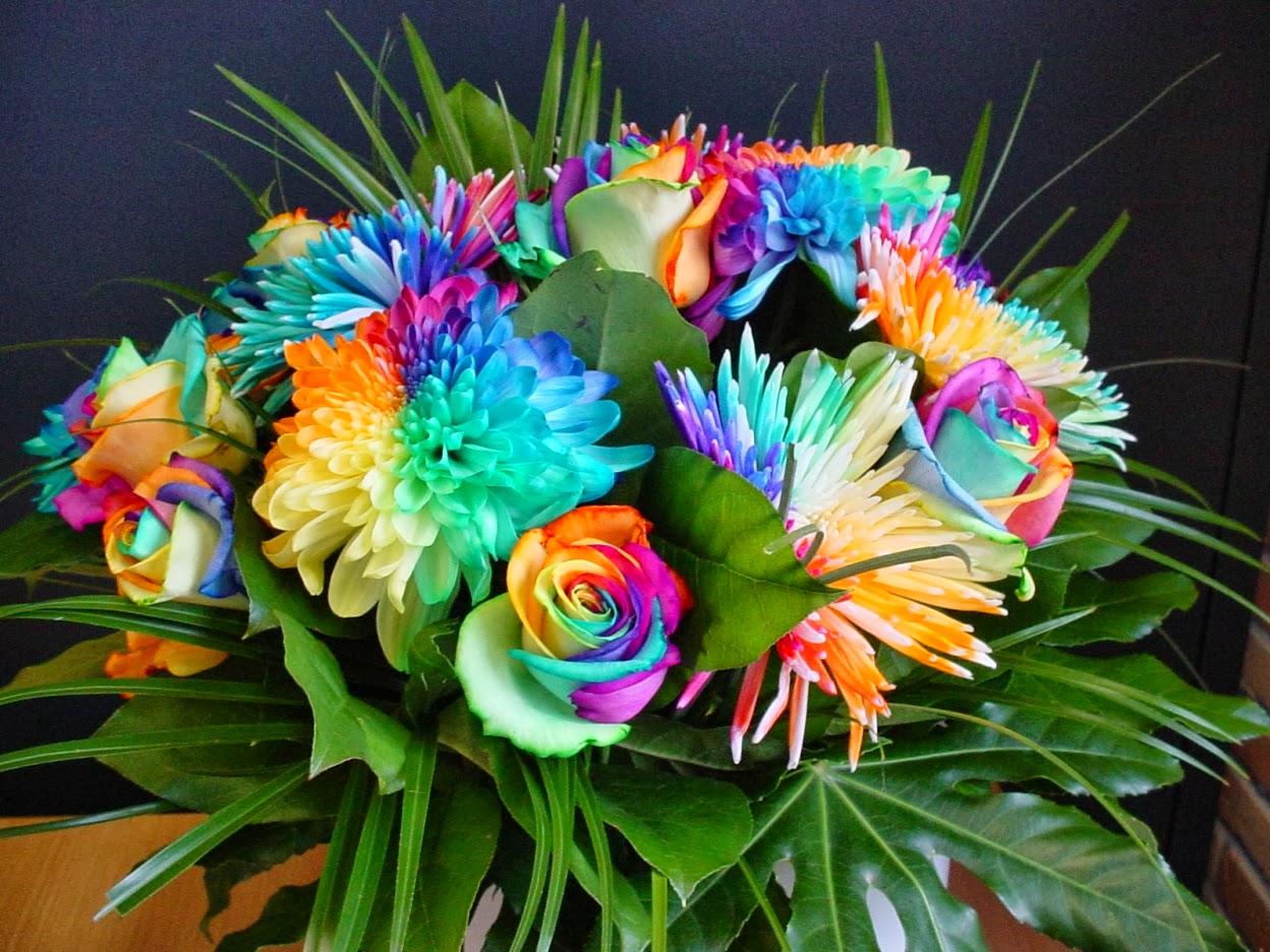 All 4u HD Wallpaper Rainbow Flowers