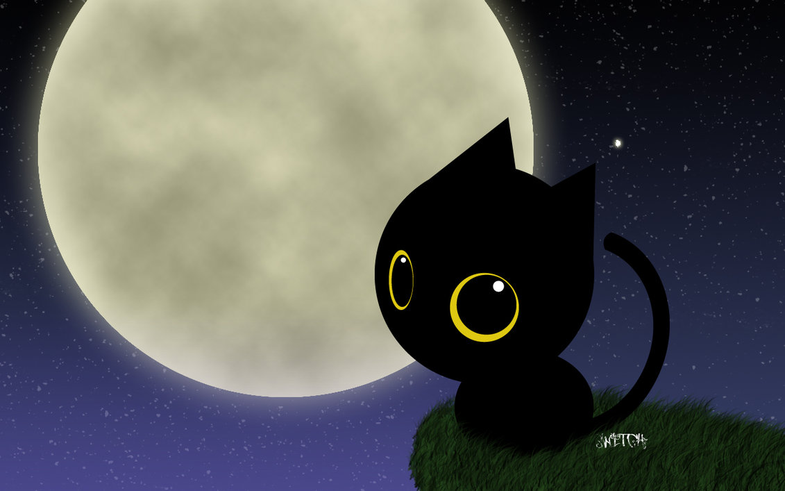 Black Cat and Moon 1131x707