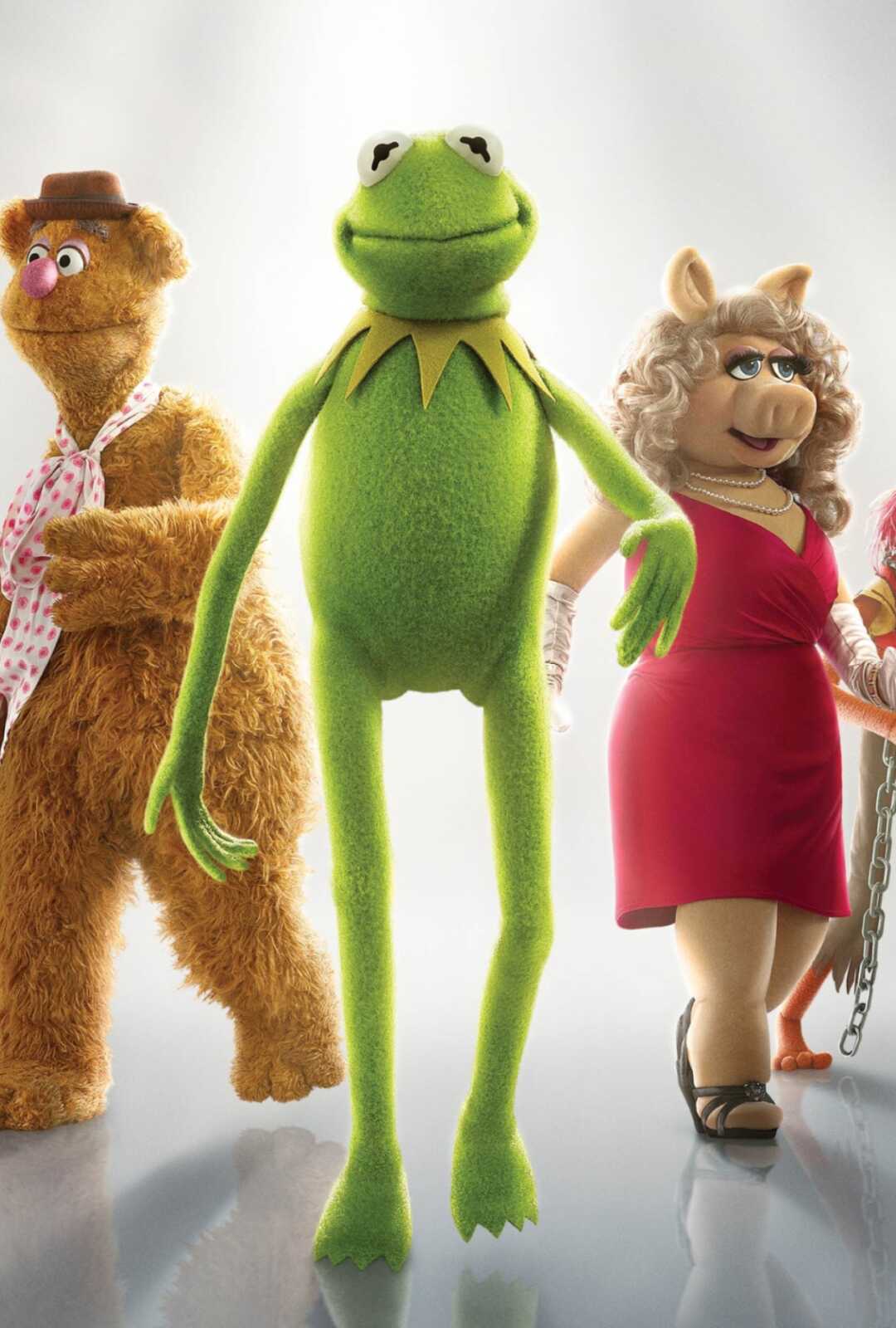 Kermit The Frog Wallpaper