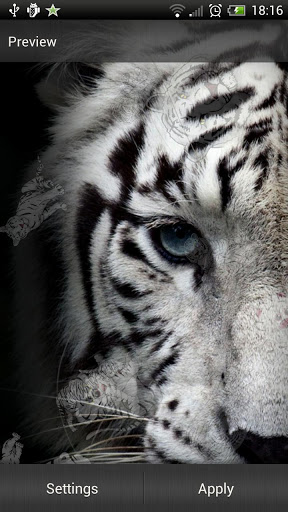White Tiger Live Wallpaper For Android App