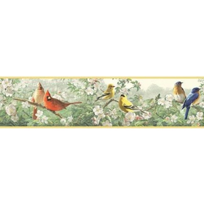 Birds Throughout The Trees Wallpaper Border All Walls