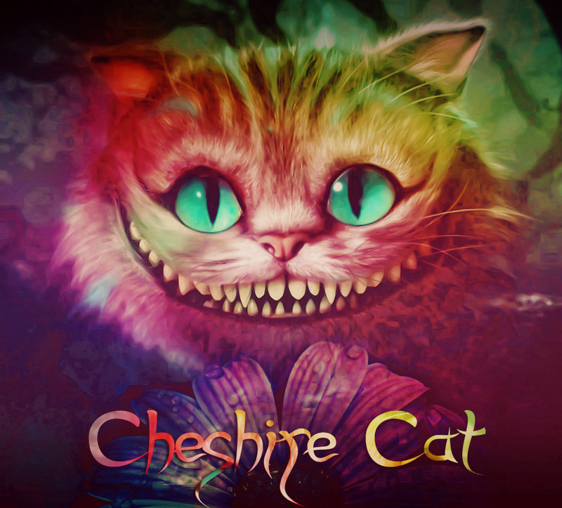 Cheshire Cat By Alina Carrie