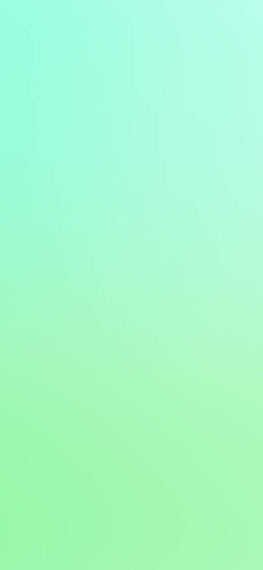 Mint Green iPhone Wallpaper