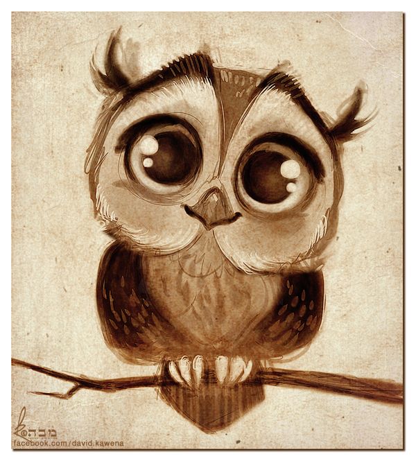 Drawing Tattoo Owl Animal Cute