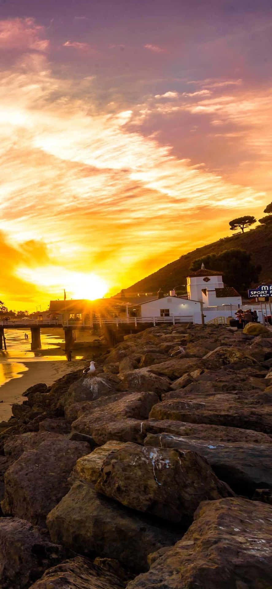 The Golden Sands Of Malibu Beach Look Even Better From Behind Wallpaper