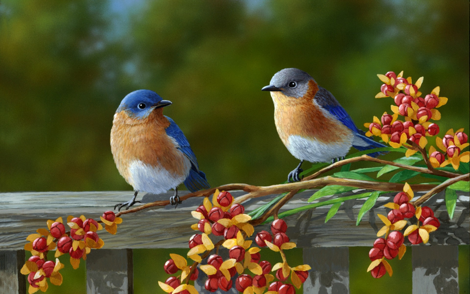 Two Eastern Bluebirds Perched on a Branch with Berries