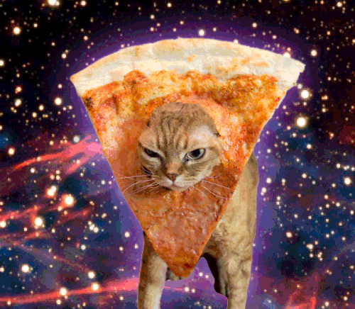 Caterville Pizza Cat Gifs