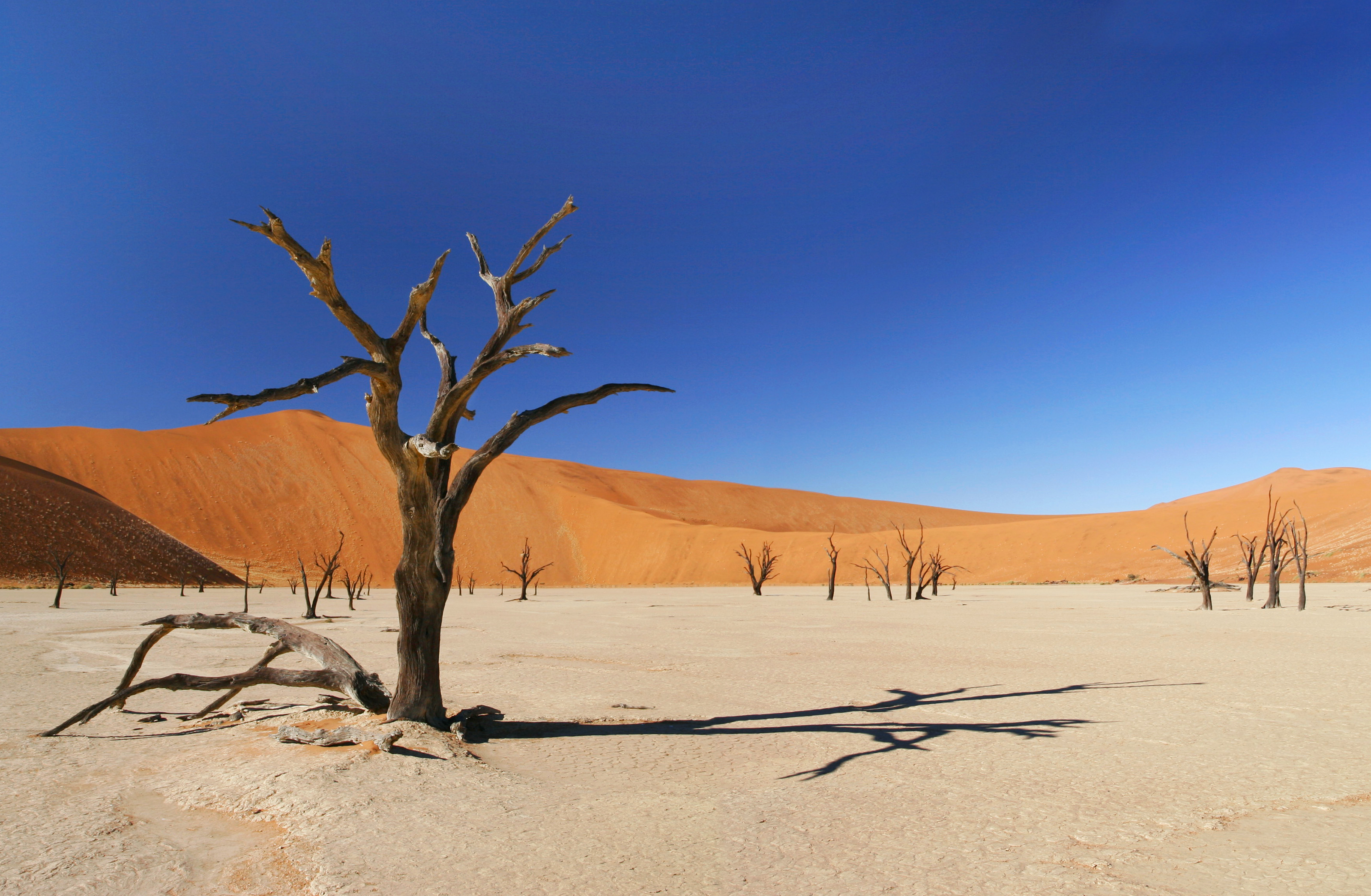 File Name 1006334 Desert HD Wallpapers Backgrounds