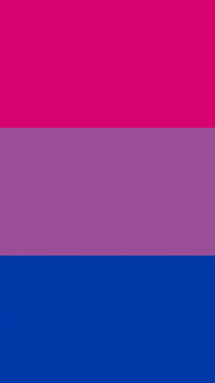 Bi Flag Wallpaper Pride Flags Bisexual